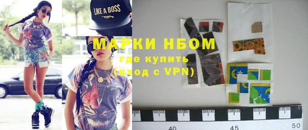 хмурый Аркадак