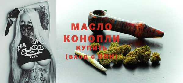 индика Всеволожск