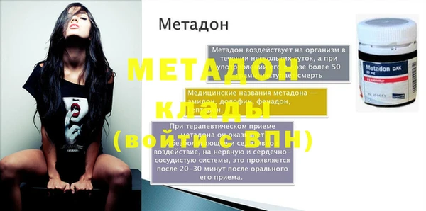 хмурый Аркадак