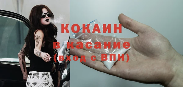 хмурый Аркадак