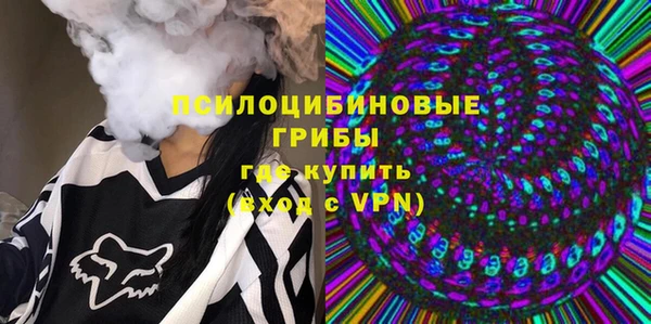 хмурый Аркадак