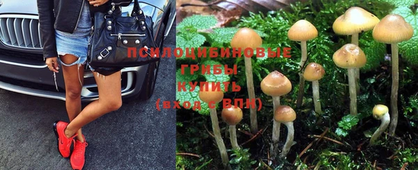 экстази Арсеньев