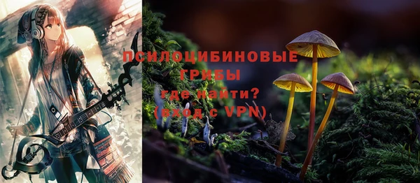 экстази Арсеньев