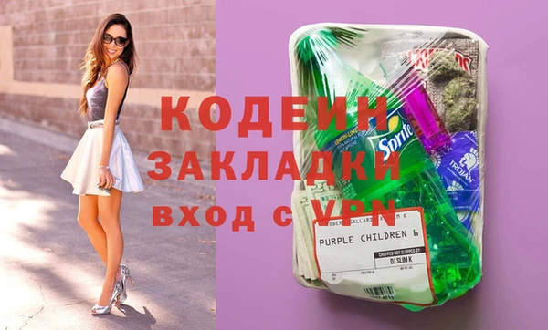 хмурый Аркадак