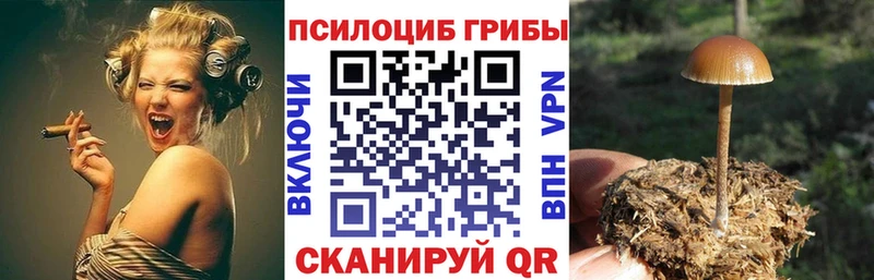 Галлюциногенные грибы Magic Shrooms  купить наркоту  Кинель 