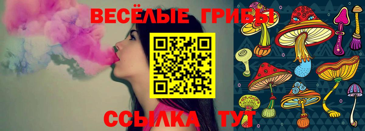 Кинель  Псилоцибиновые грибы GOLDEN TEACHER  Галлюциногенные грибы GOLDEN TEACHER  Вход с VPN 