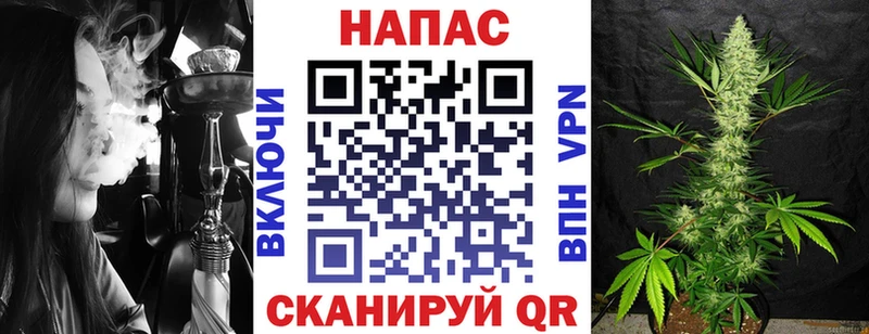 как найти   Кинель  Конопля OG Kush 
